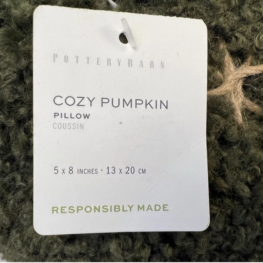 Pottery Barn Cozy Pumpkin Decorative Pillow Loden Green 5